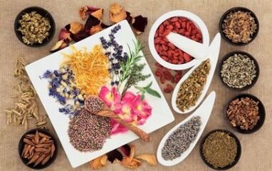 Phytothérapie pour augmenter un membre