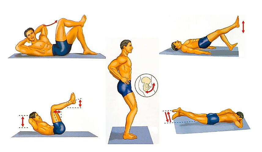Le pénis augmente les exercices