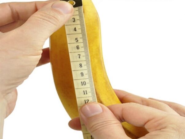Taille du pénis qui peut être augmentée grâce à l'exercice